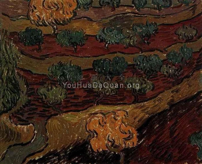 山坡上的橄榄树 - 文森特·威廉·梵高